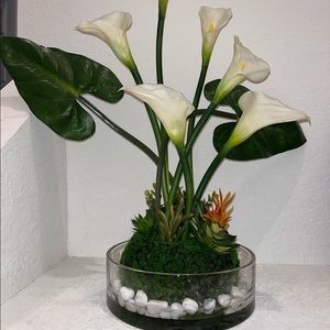 White Cala Lily